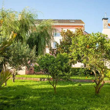 Estela Surf Camp & Surf School Hostel